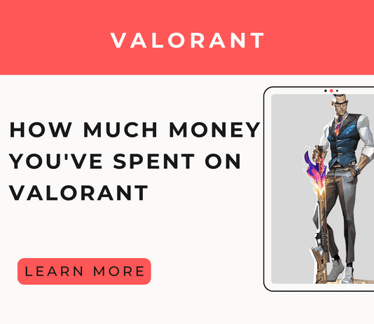 Total Spent On Valorant