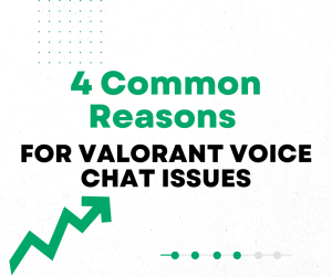 Common Reasons for Valorant Voice Chat Issues